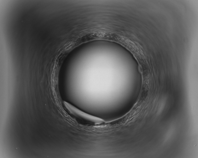 X0000087681105200705111255