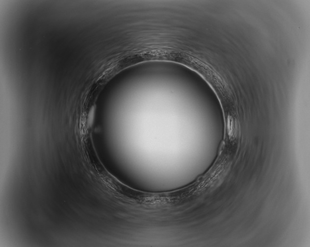 X0000087681107200705111255