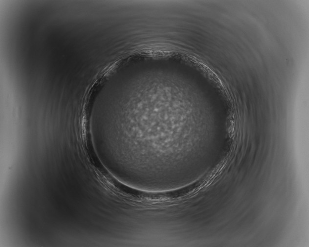 X0000087681108200705111255