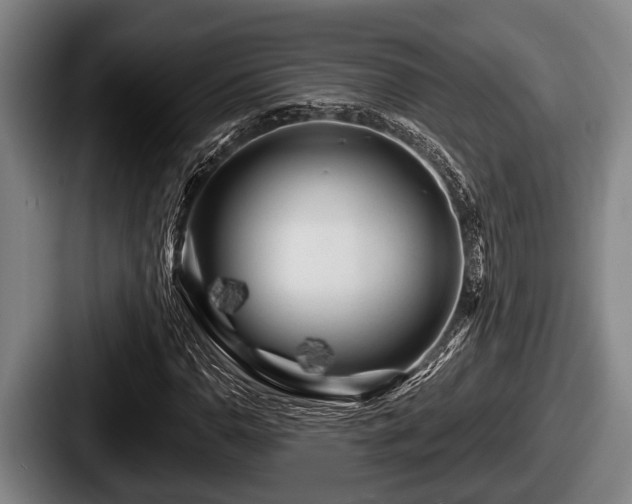 X0000087681110200705111255