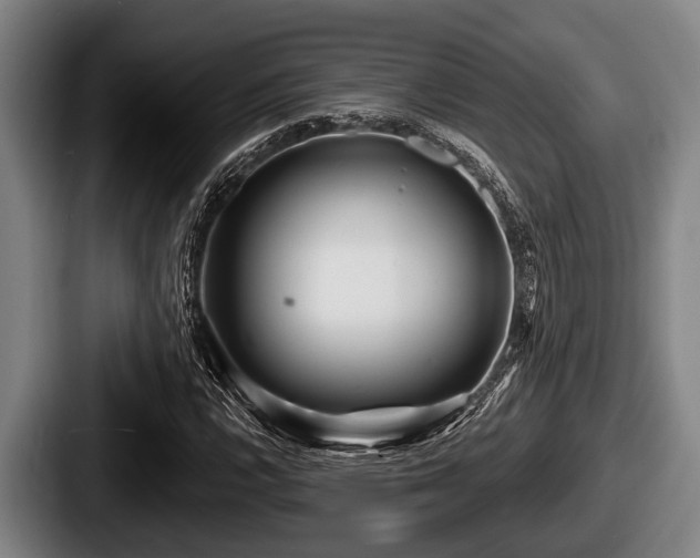 X0000087681112200705111255