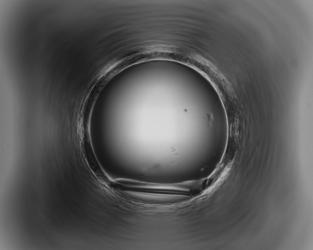 X0000087681113200705111255