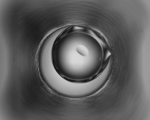 X0000087681114200705111255