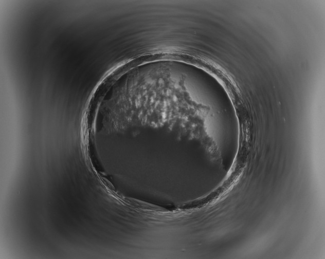 X0000087681117200705111255