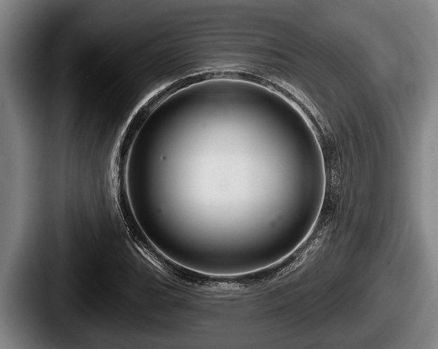 X0000087681119200705111255
