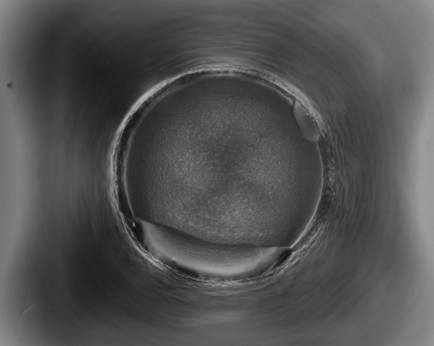 X0000087681120200705111255