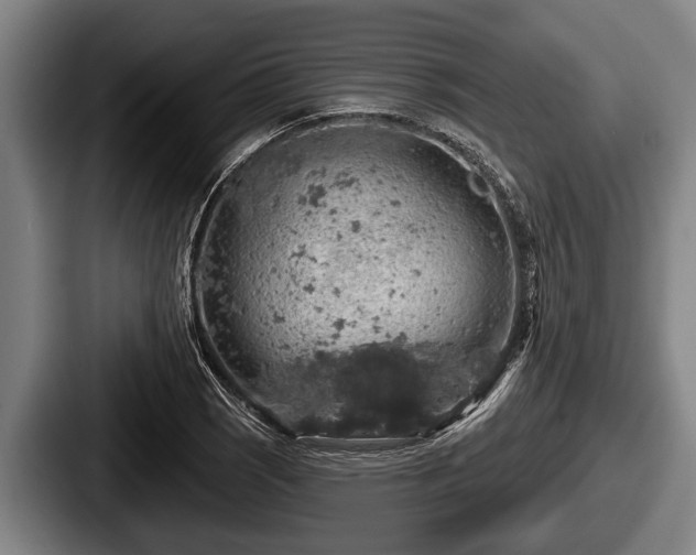 X0000087681121200705111255