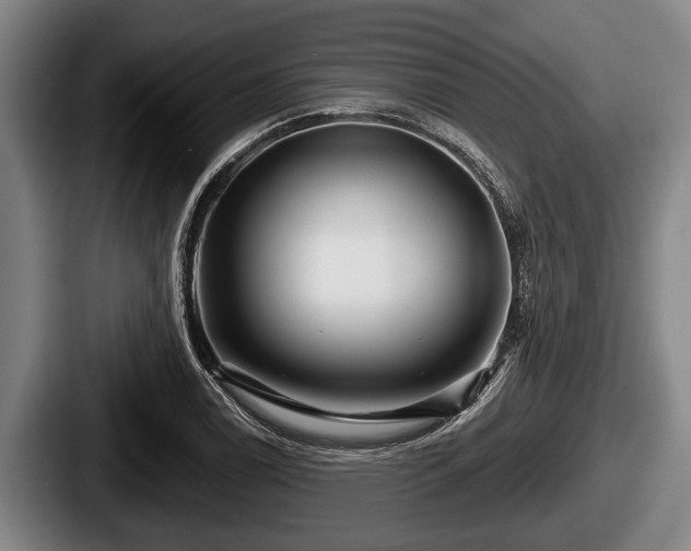 X0000087681122200705111255