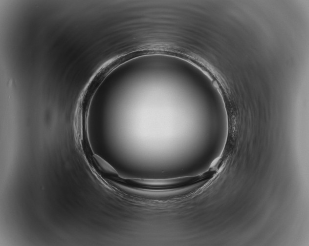 X0000087681123200705111255