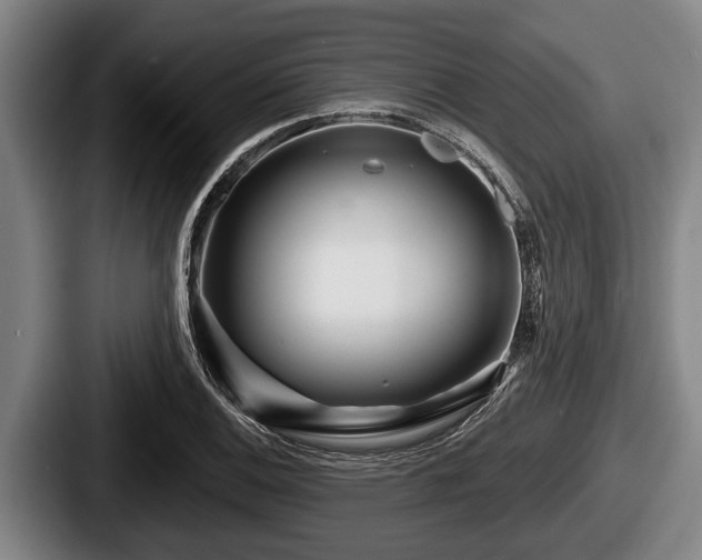 X0000087681124200705111255
