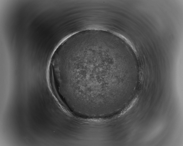 X0000087681125200705111255