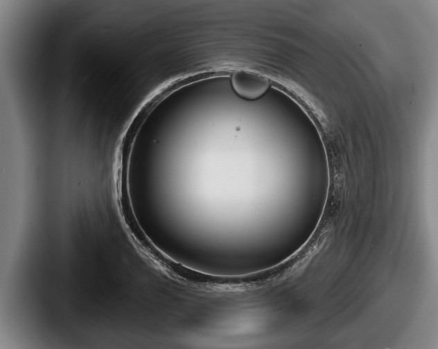 X0000087681126200705111255