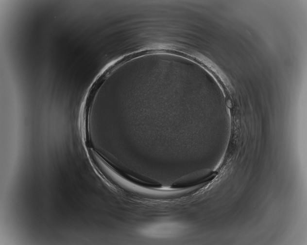 X0000087681127200705111255