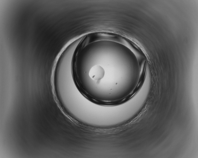X0000087681128200705111255
