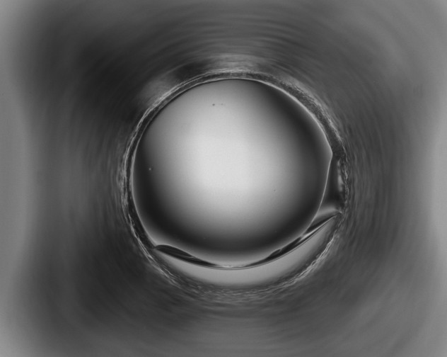 X0000087681129200705111255