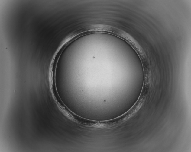 X0000087681130200705111255