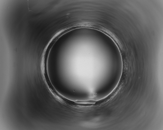 X0000087681131200705111255