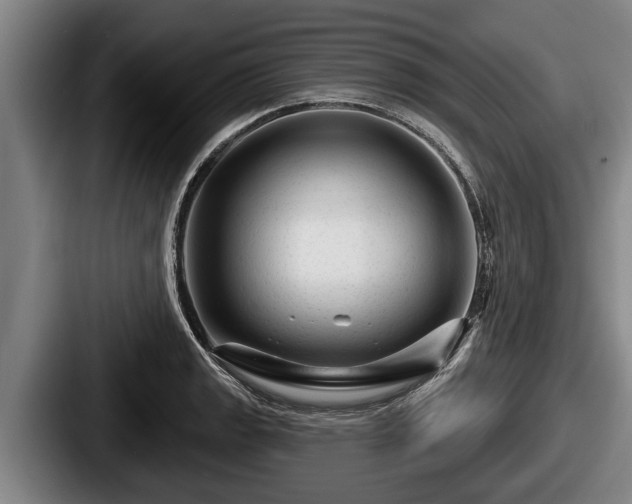 X0000087681133200705111255