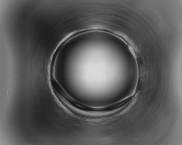 X0000087681134200705111255
