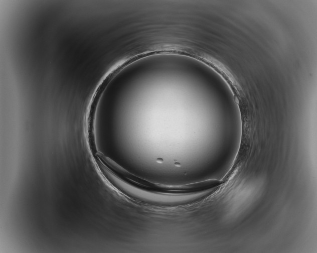 X0000087681135200705111255
