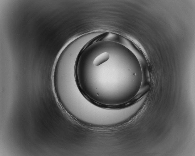 X0000087681138200705111255