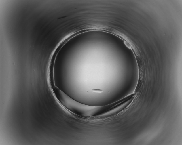 X0000087681139200705111255