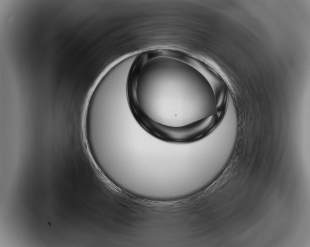 X0000087681140200705111255