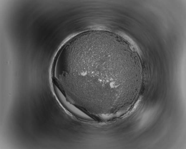 X0000087681141200705111255
