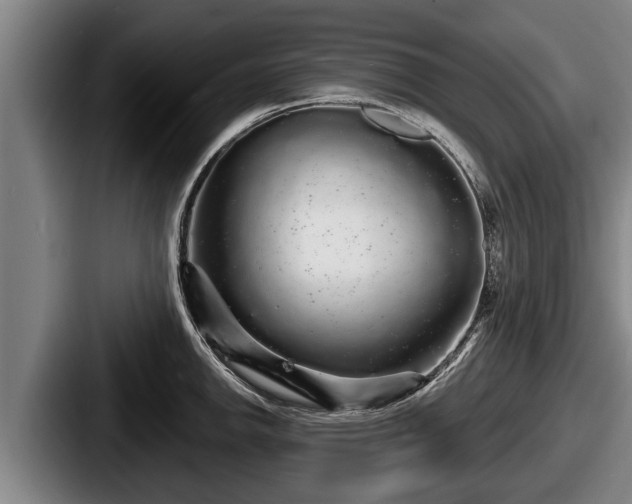 X0000087681142200705111255