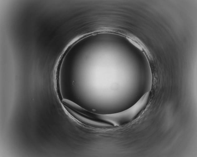 X0000087681143200705111255
