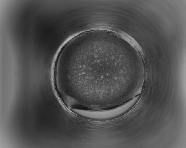 X0000087681144200705111255