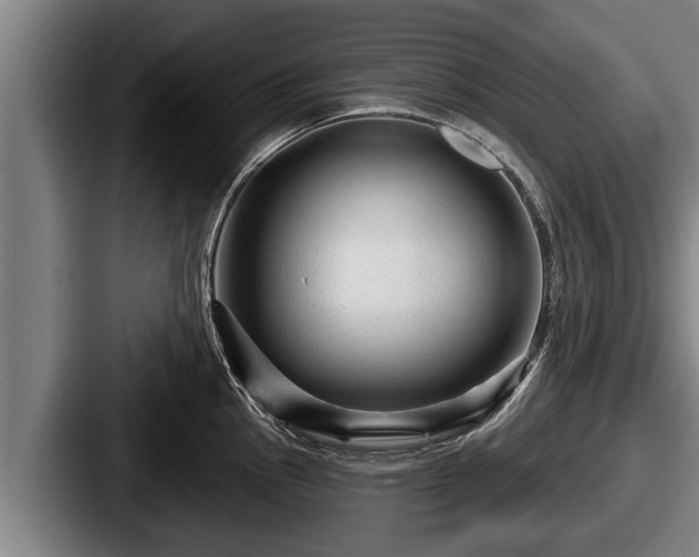 X0000087681145200705111255