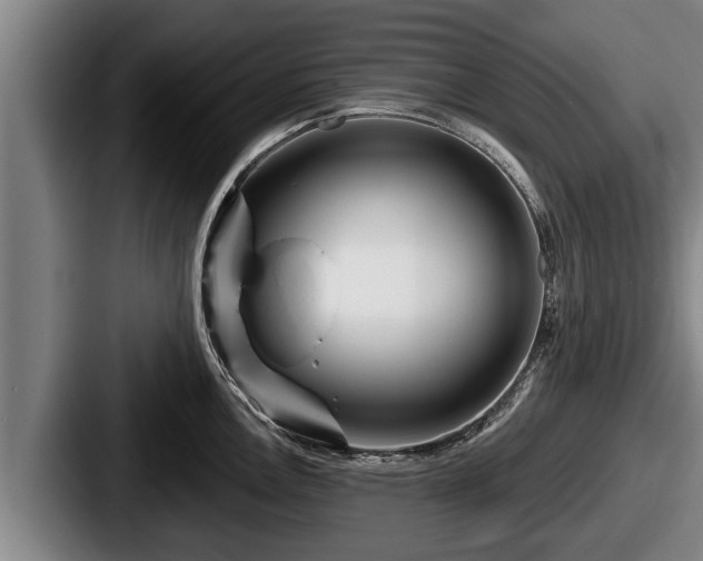 X0000087681146200705111255