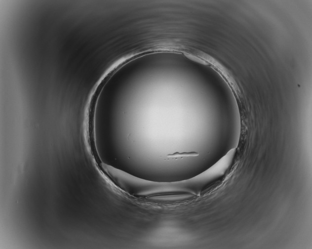 X0000087681147200705111255