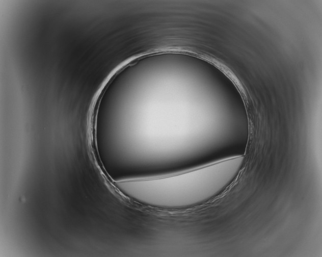 X0000087681148200705111255