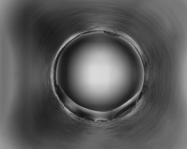 X0000087681149200705111255