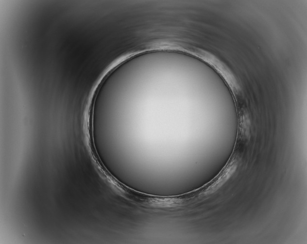 X0000087681150200705111255