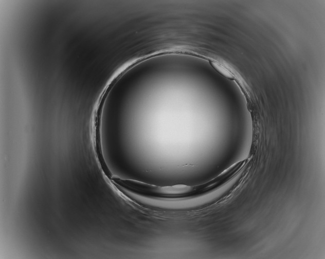 X0000087681151200705111255