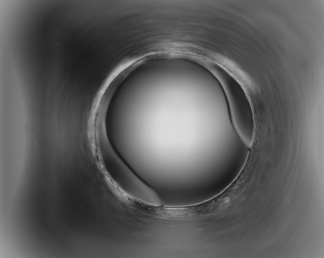 X0000087681152200705111255