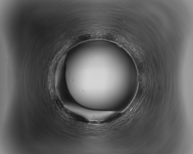 X0000087681153200705111254