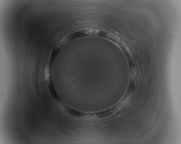 X0000087681154200705111254