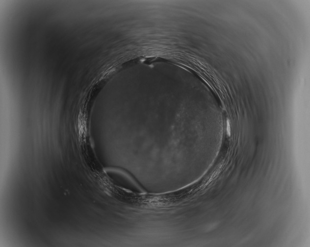 X0000087681155200705111254