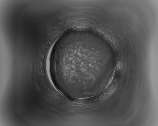 X0000087681156200705111254