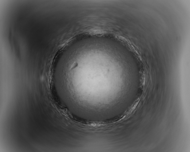 X0000087681157200705111254