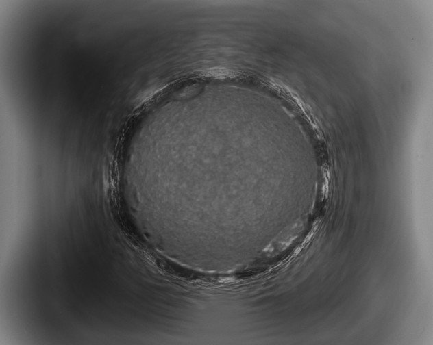X0000087681158200705111254
