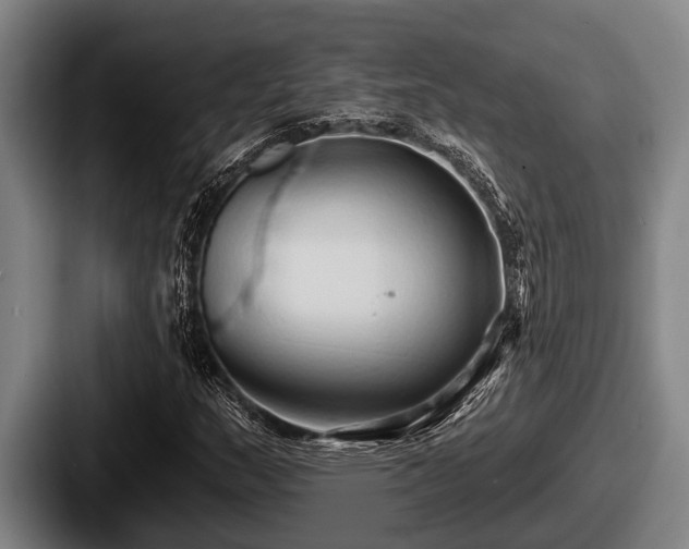 X0000087681159200705111254