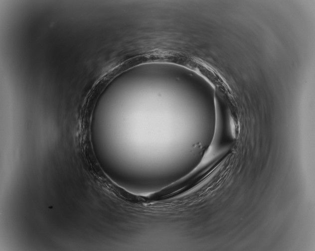 X0000087681160200705111254