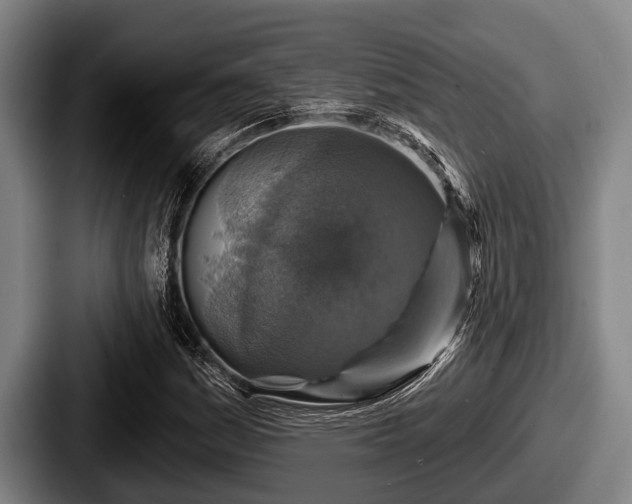 X0000087681161200705111254