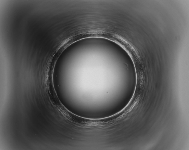 X0000087681162200705111254