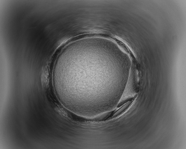 X0000087681163200705111254
